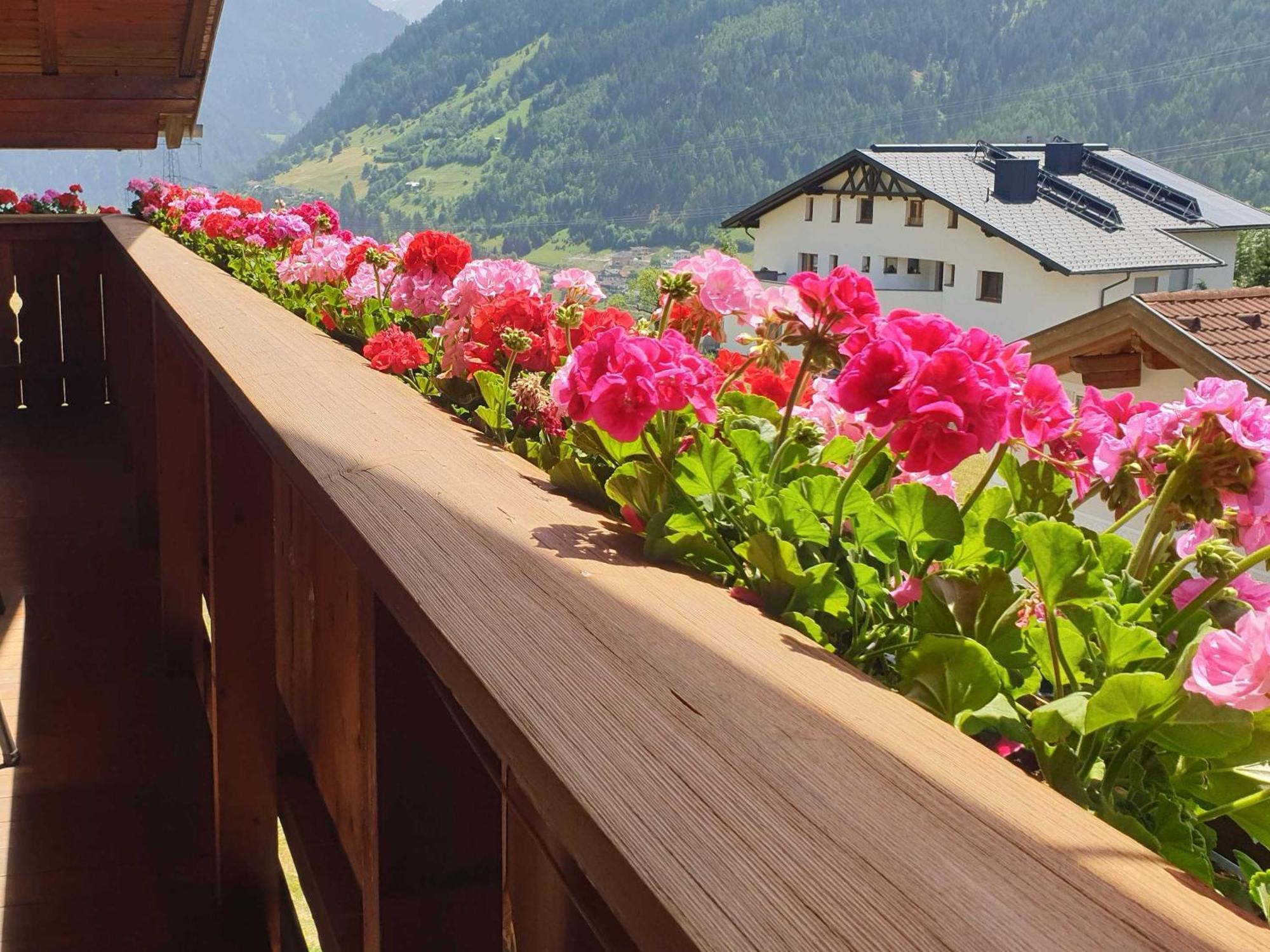 Haus Anna Ein Haus Mit Herz فليس الغرفة الصورة